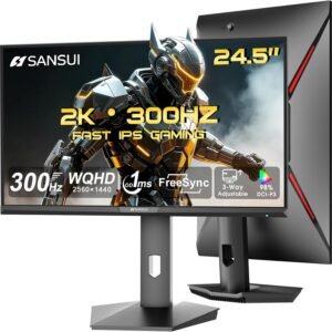 SANSUI จอภาพและดิสเพลย์ 24.5 QHD 300Hz 240Hz 2 HDMI
